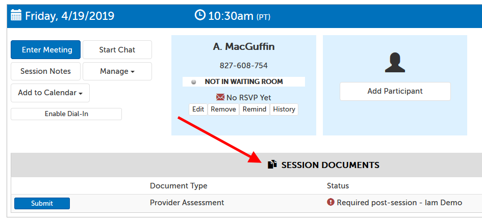 "Session Documents" section, showing a document called "Provider Assessment" for the provider to fill out post-session